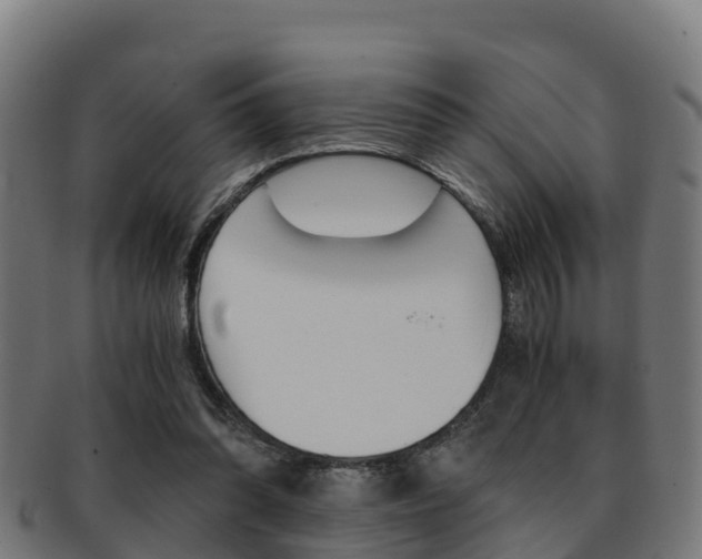 X0000091960302200709061105
