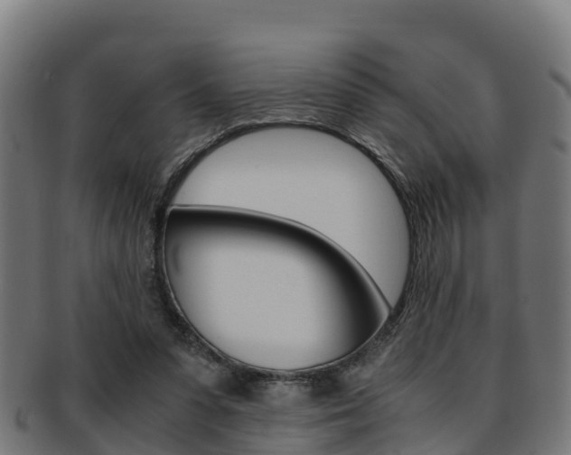 X0000091960303200709061105