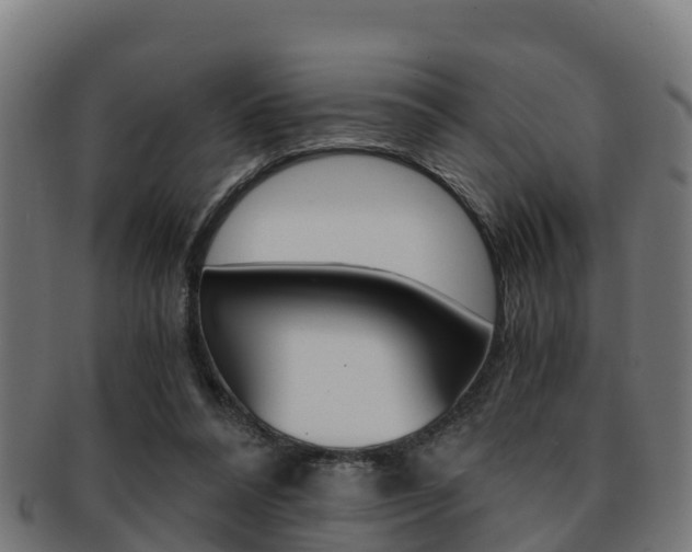 X0000091960304200709061105