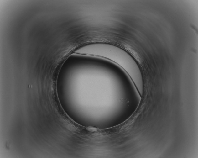 X0000091960305200709061105