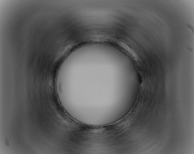 X0000091960306200709061105