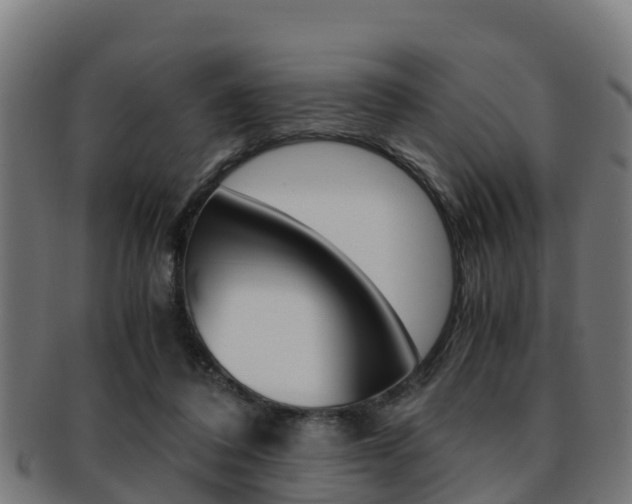 X0000091960308200709061105
