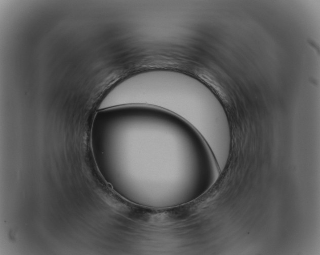 X0000091960309200709061105