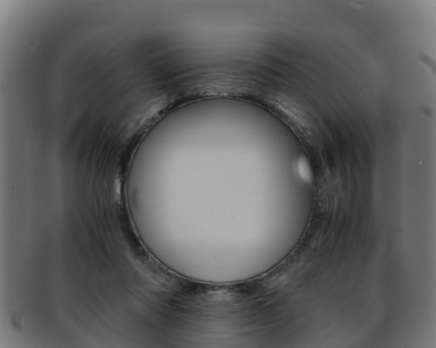 X0000091960310200709061105