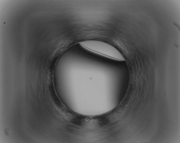 X0000091960311200709061105