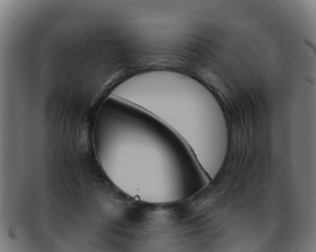 X0000091960312200709061105