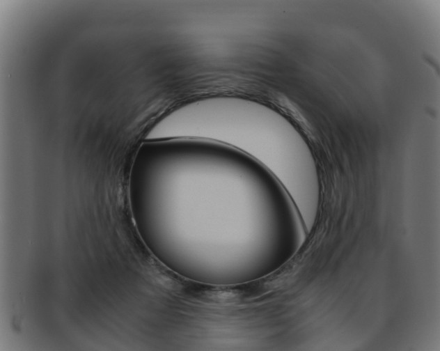 X0000091960313200709061105