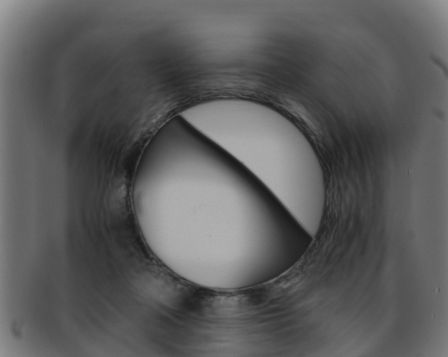 X0000091960314200709061105