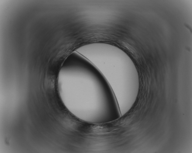 X0000091960315200709061105