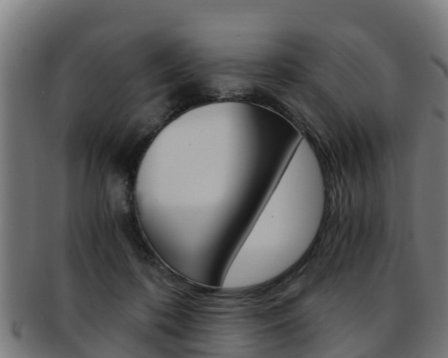 X0000091960316200709061105
