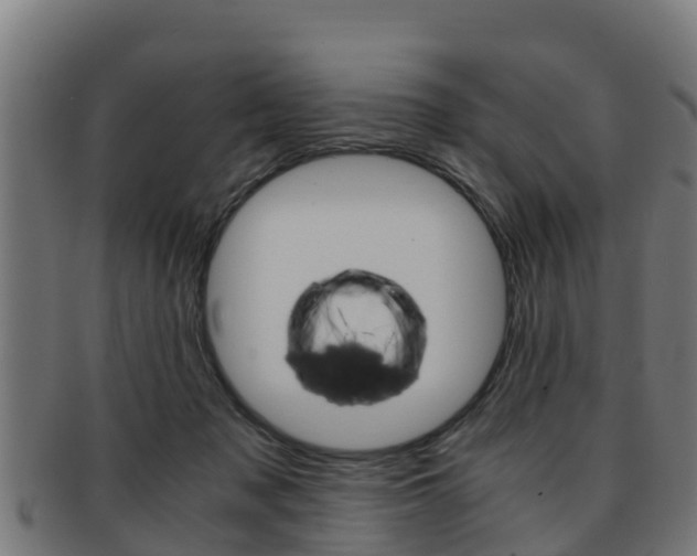 X0000091960317200709061105