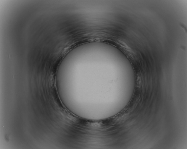 X0000091960318200709061105