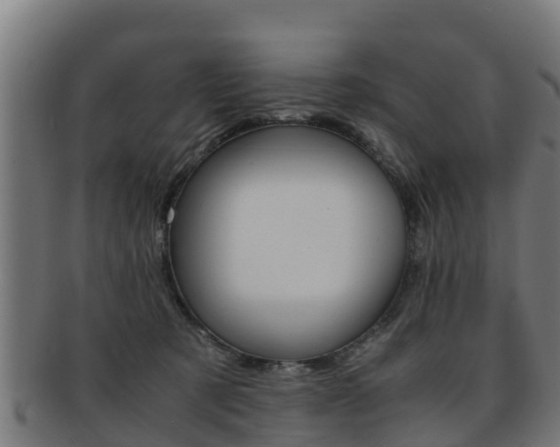 X0000091960321200709061105