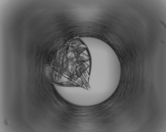 X0000091960323200709061105