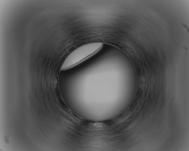 X0000091960324200709061105