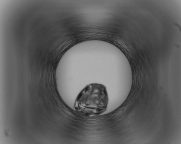 X0000091960325200709061105