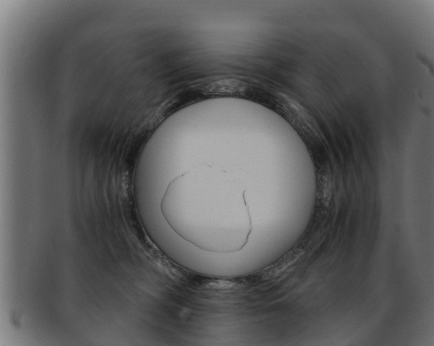X0000091960326200709061105