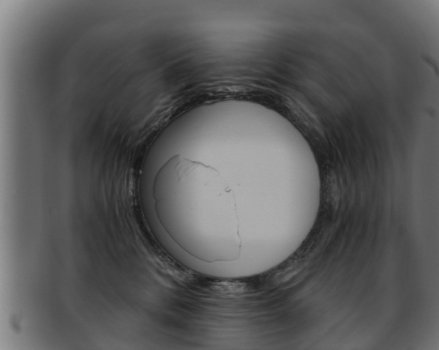 X0000091960328200709061105