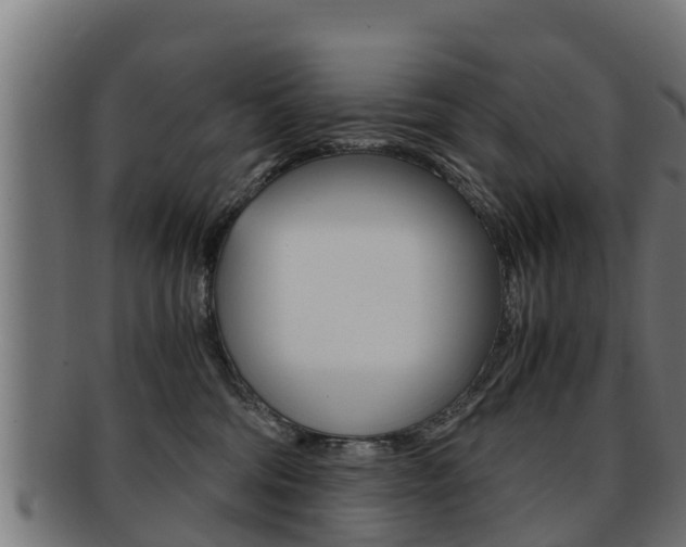 X0000091960330200709061105