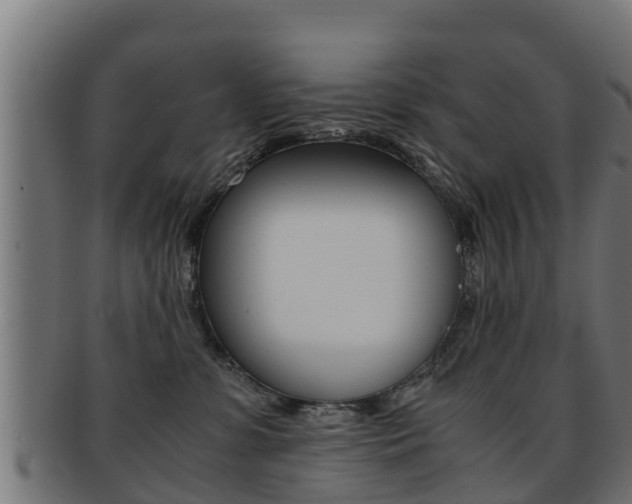 X0000091960331200709061105