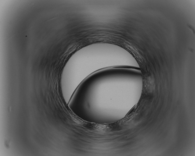 X0000091960333200709061105