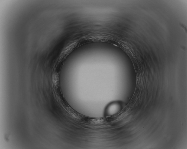 X0000091960335200709061105