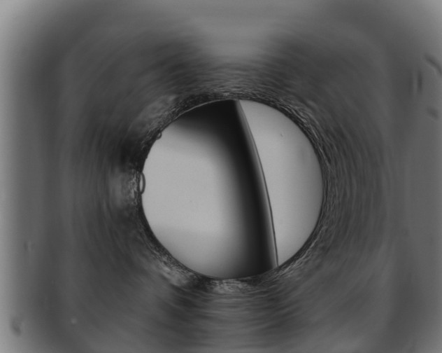 X0000091960336200709061105