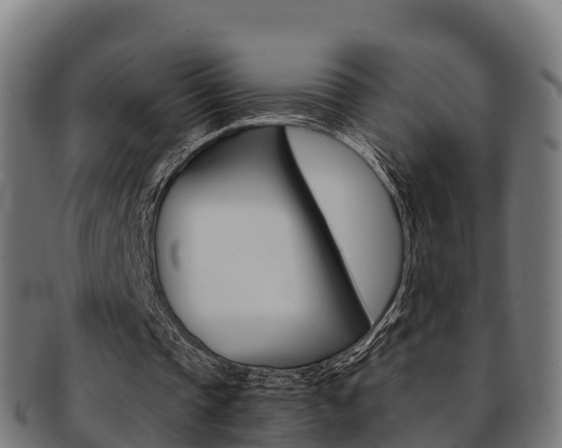 X0000091960337200709061104