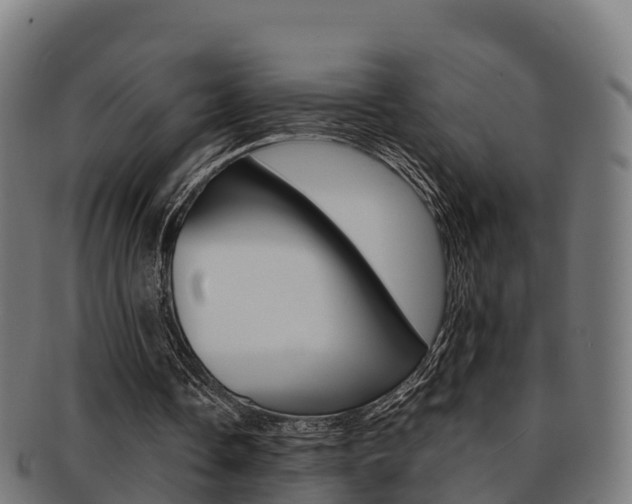 X0000091960338200709061104