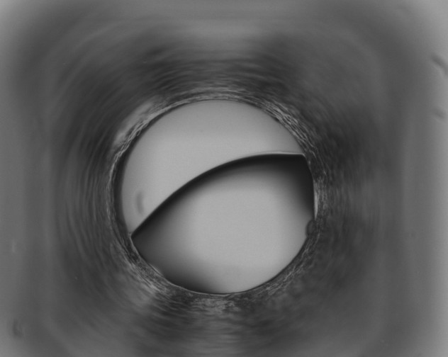 X0000091960339200709061104