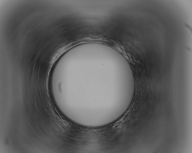 X0000091960340200709061104