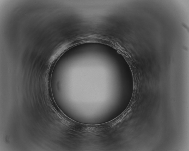 X0000091960341200709061104