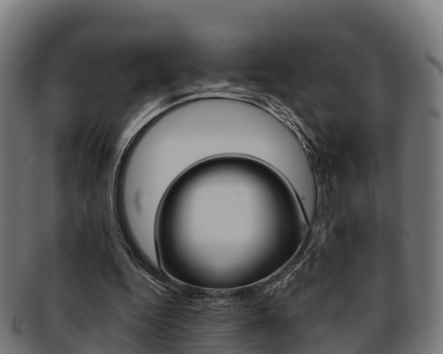 X0000091960344200709061104