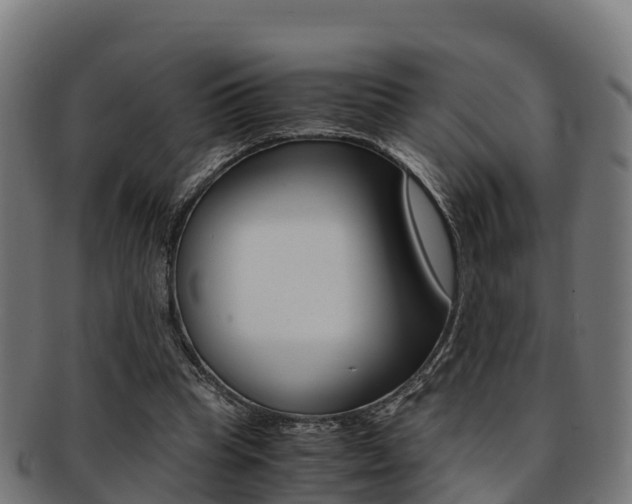 X0000091960345200709061104