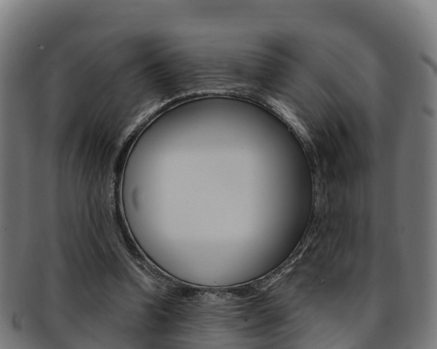 X0000091960346200709061104