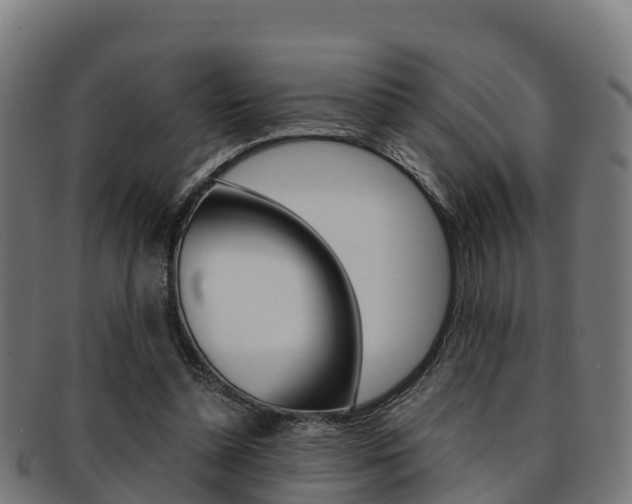 X0000091960348200709061104