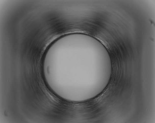 X0000091960350200709061105