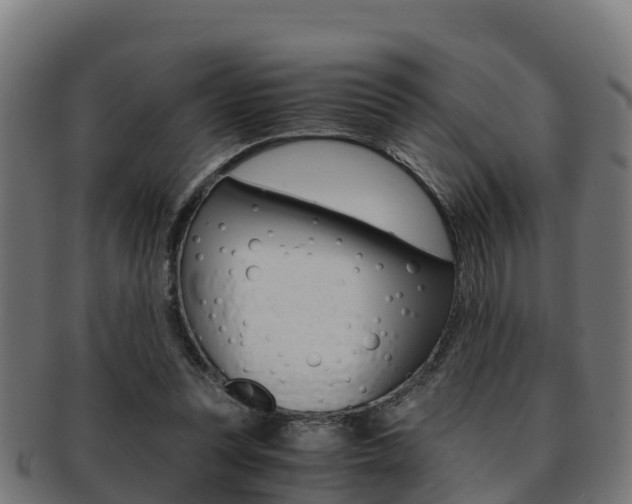 X0000091960351200709061105