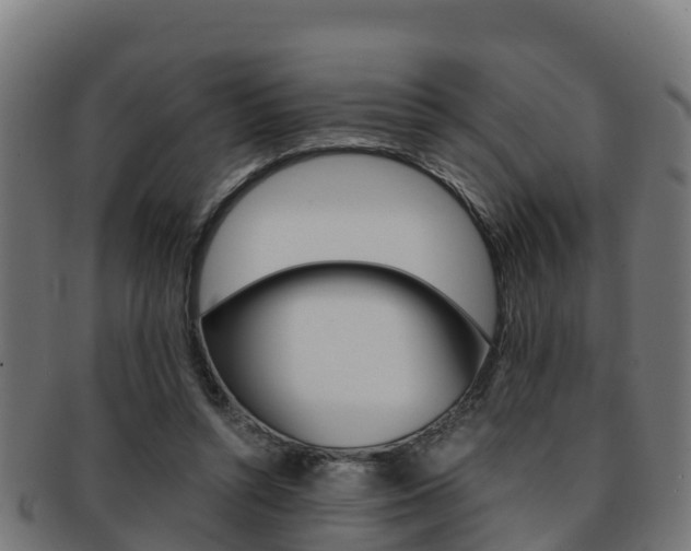 X0000091960352200709061105