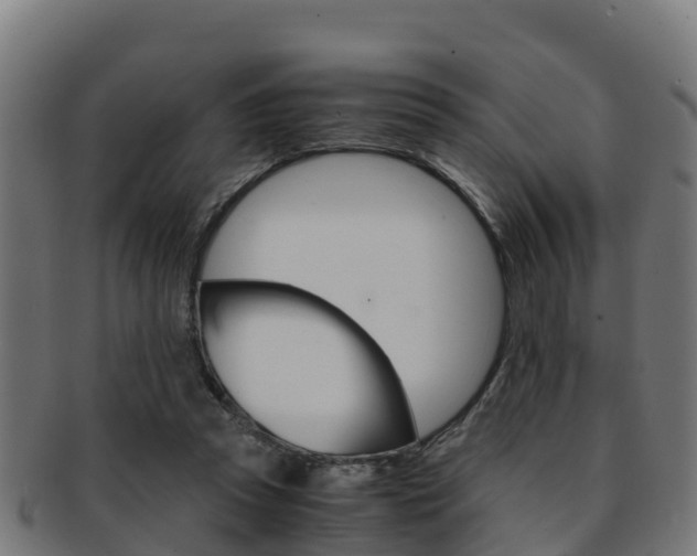 X0000091960353200709061105