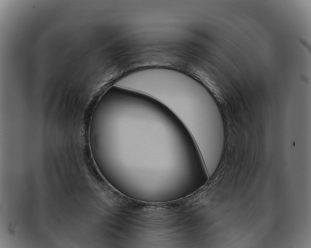 X0000091960354200709061105