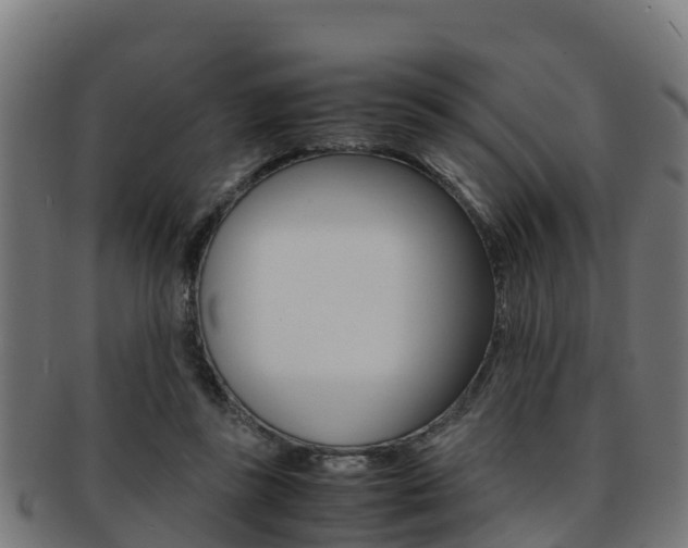 X0000091960355200709061105