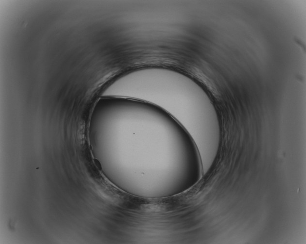 X0000091960356200709061105