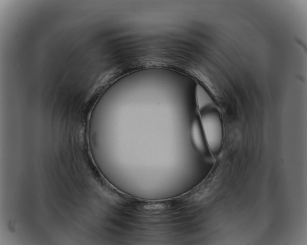 X0000091960357200709061105