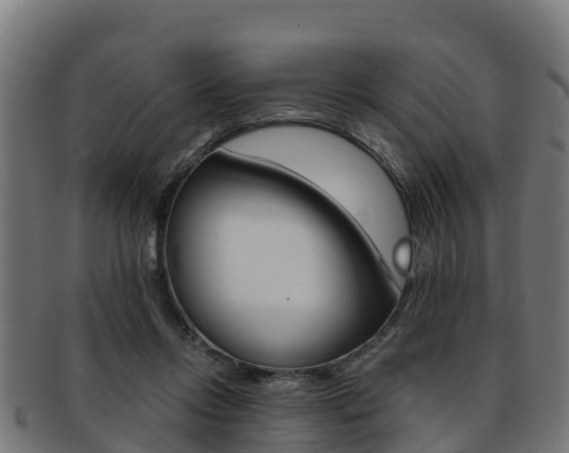 X0000091960358200709061105