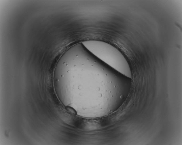 X0000091960359200709061105