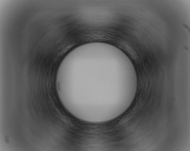 X0000091960360200709061105