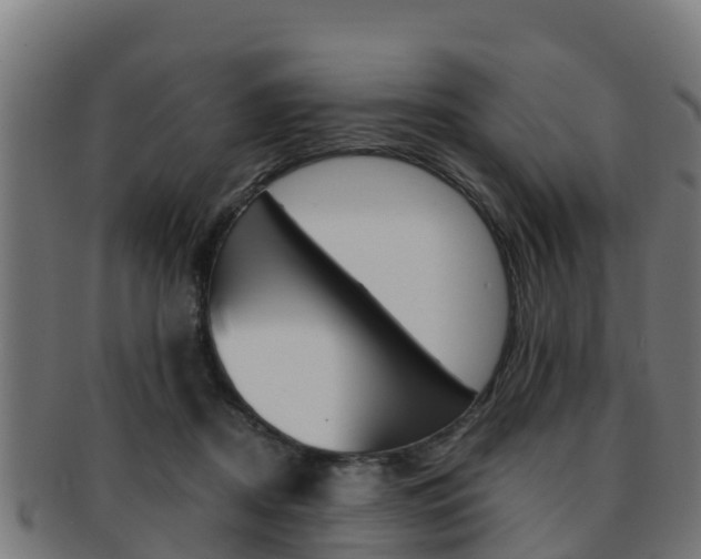 X0000091960362200709061105