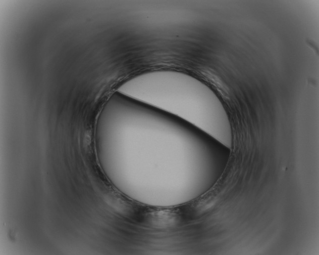 X0000091960365200709061105