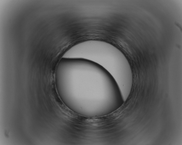 X0000091960367200709061105
